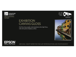 Exhibition Canvas Gloss