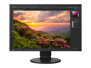 EIZO CS2400S