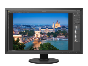 EIZO CS2731